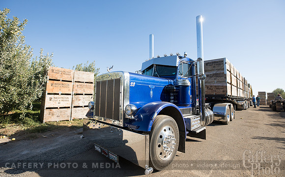 CafferyPhoto-7502