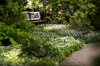003CafferyPhoto-9222