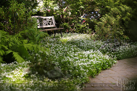 003CafferyPhoto-9222