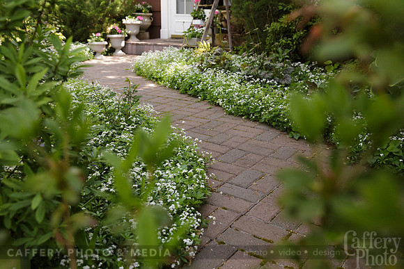004CafferyPhoto-9144
