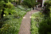 006CafferyPhoto-9348