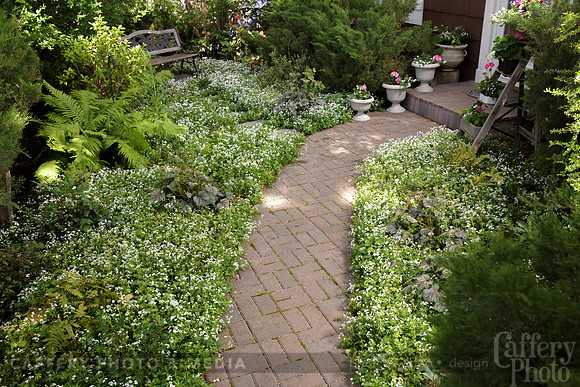 006CafferyPhoto-9348