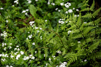 010CafferyPhoto-9367