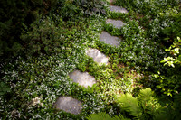 009CafferyPhoto-9428