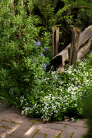 008CafferyPhoto-9372
