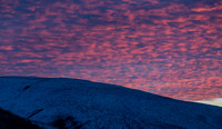 CafferyPhoto-7335
