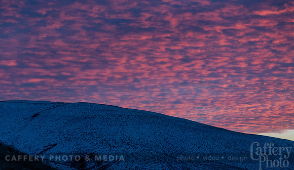 CafferyPhoto-7335
