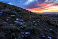 CafferyPhoto-5014