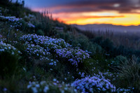 CafferyPhoto-5032-Edit