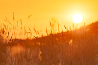 CafferyPhoto-6556