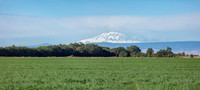 CafferyPhoto-0110-Pano-3