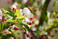 CafferyPhoto-7841