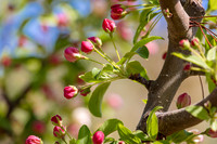 CafferyPhoto-7854