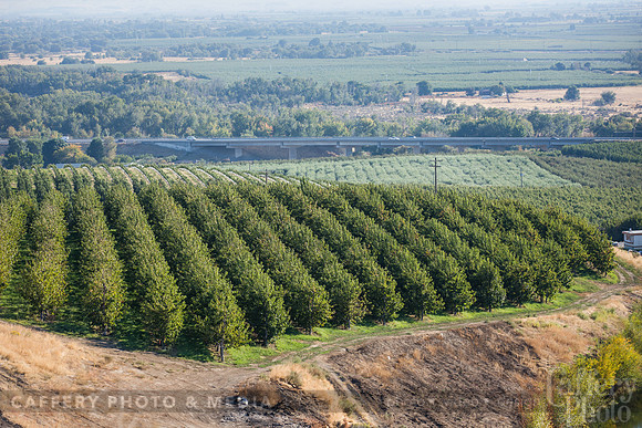 CafferyPhoto-7651