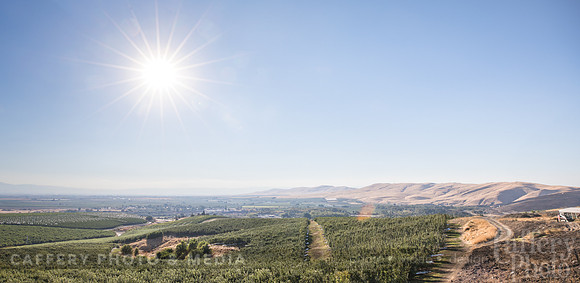 CafferyPhoto-7672-HDR